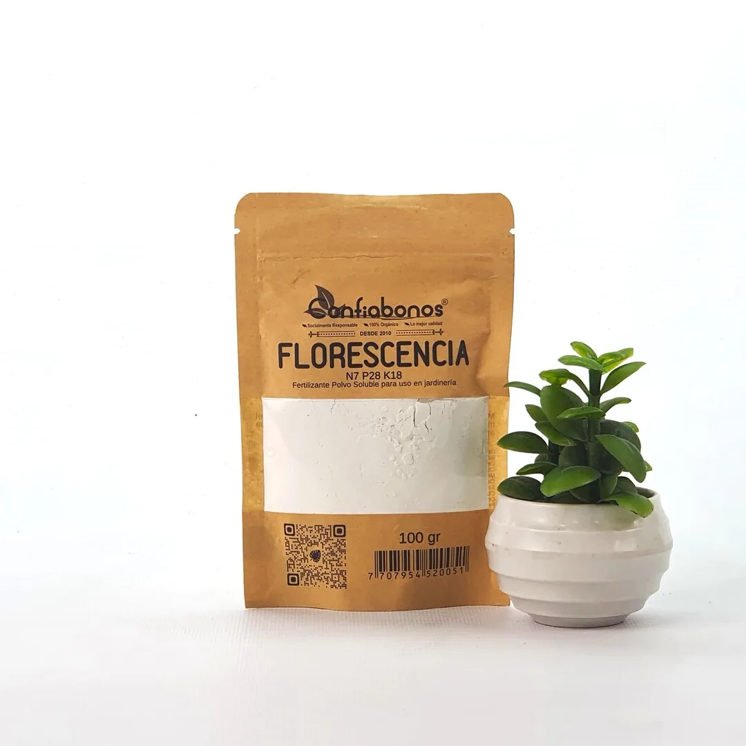 Florescencia en polvo