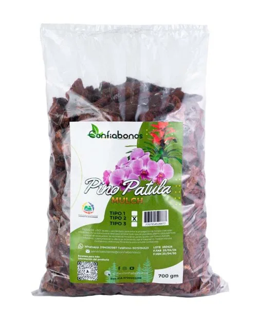 Pino patula