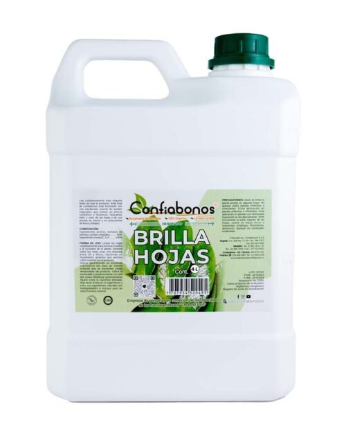 Brilla Hojas