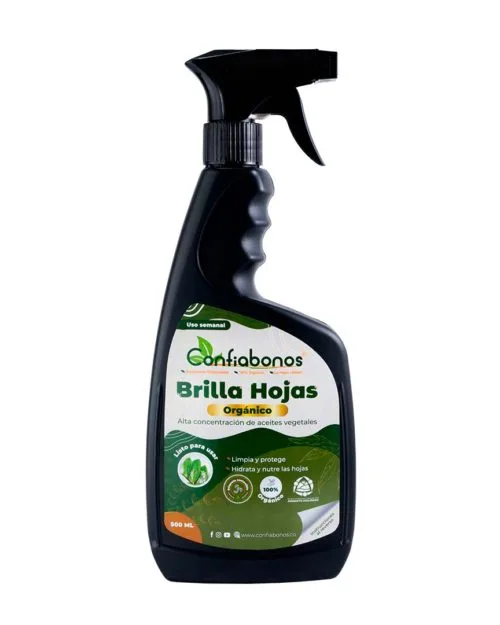 Brilla Hojas