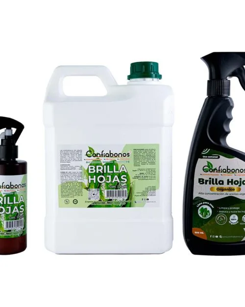 Brilla Hojas