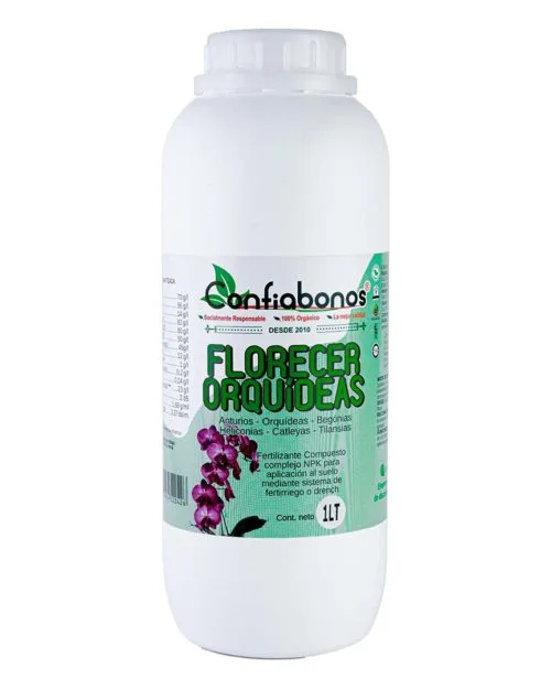 Florecer Orquidea