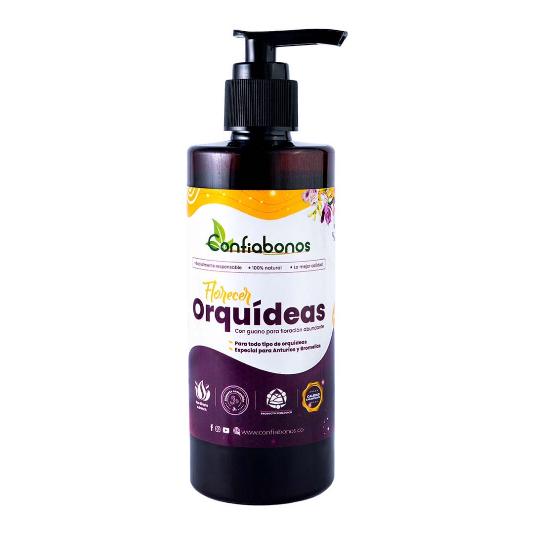 Florecer Orquidea