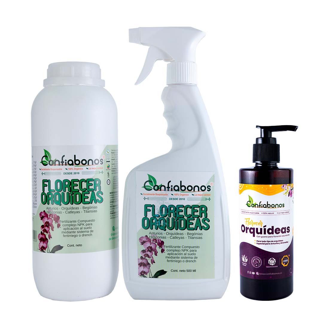 Florecer Orquidea