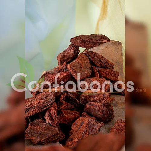 pino-patula-detalle-tipo2