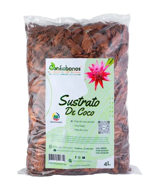 Chip Coco Picado