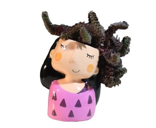 Privado: Materas en ceramica