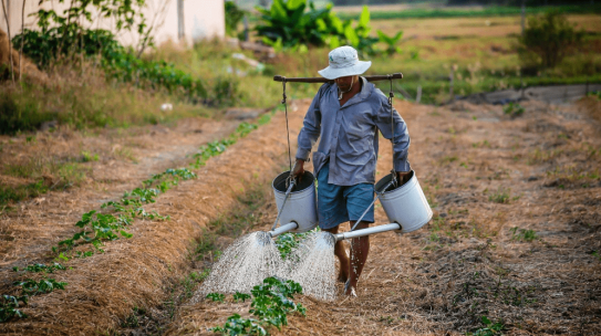 El campesino, un oficio para aplaudir
