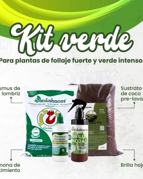 Kit Verdes