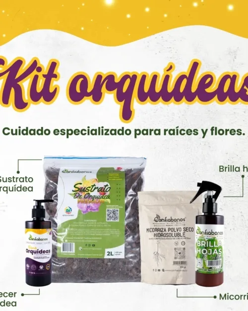 Kit Orquideas