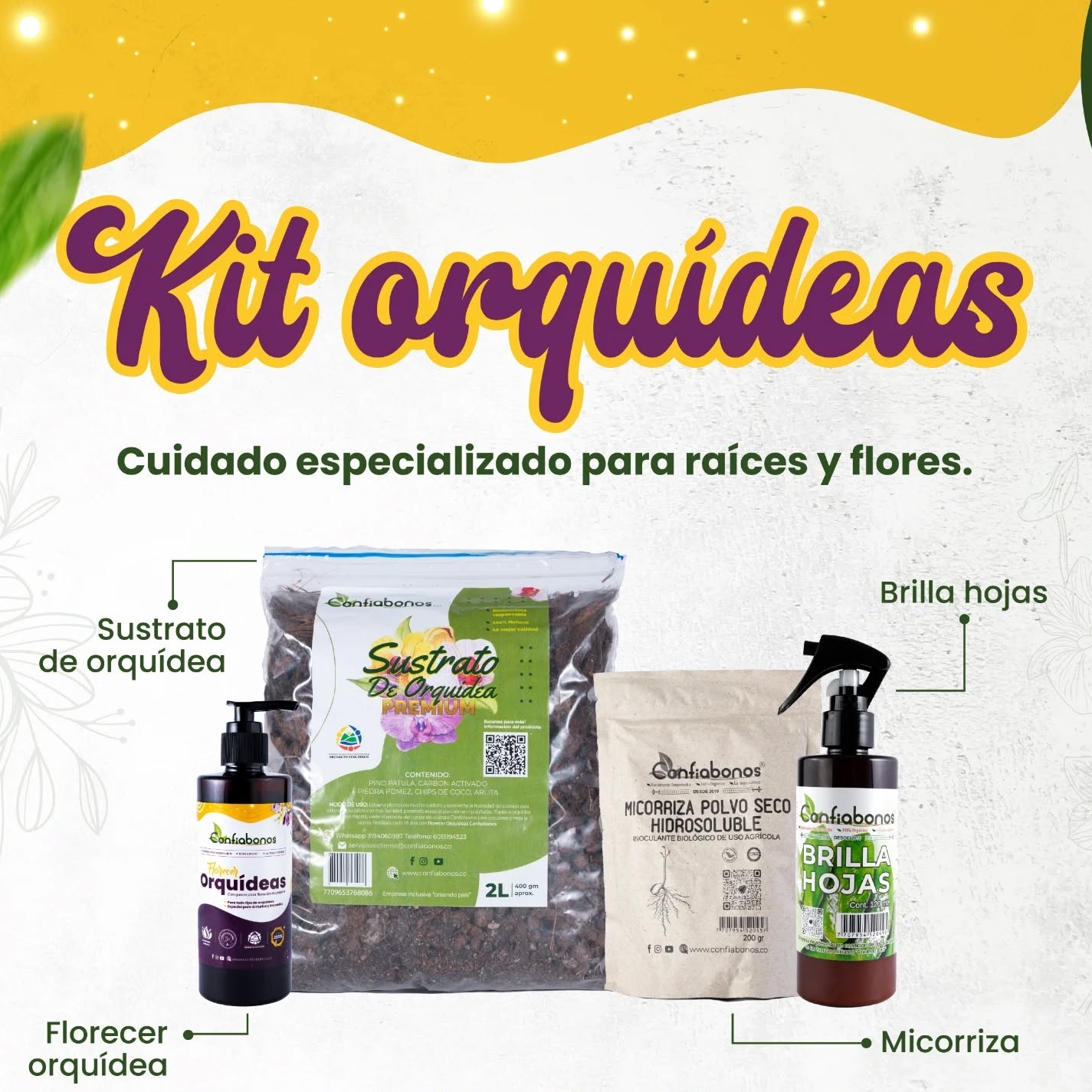 Kit Orquideas