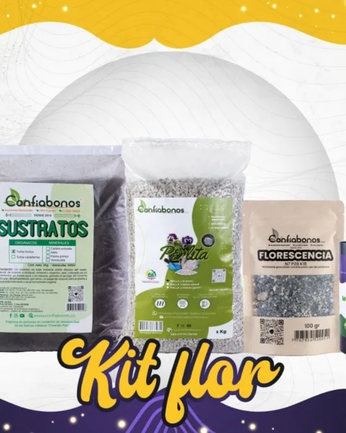 Kit Flor