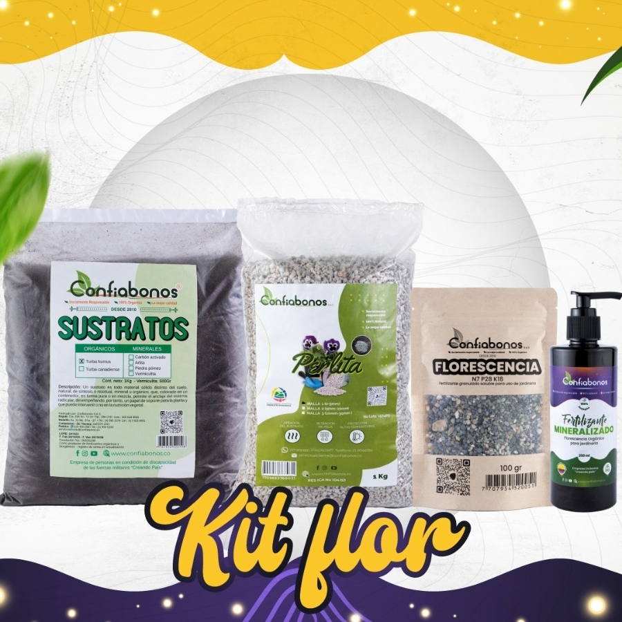 Kit Flor